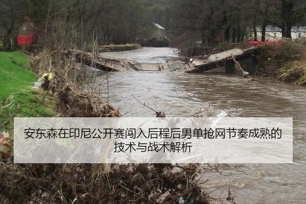 安东森在印尼公开赛闯入后程后男单抢网节奏成熟的技术与战术解析